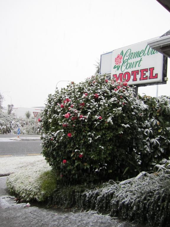Camellia Court Motel Lower Hutt Exterior foto