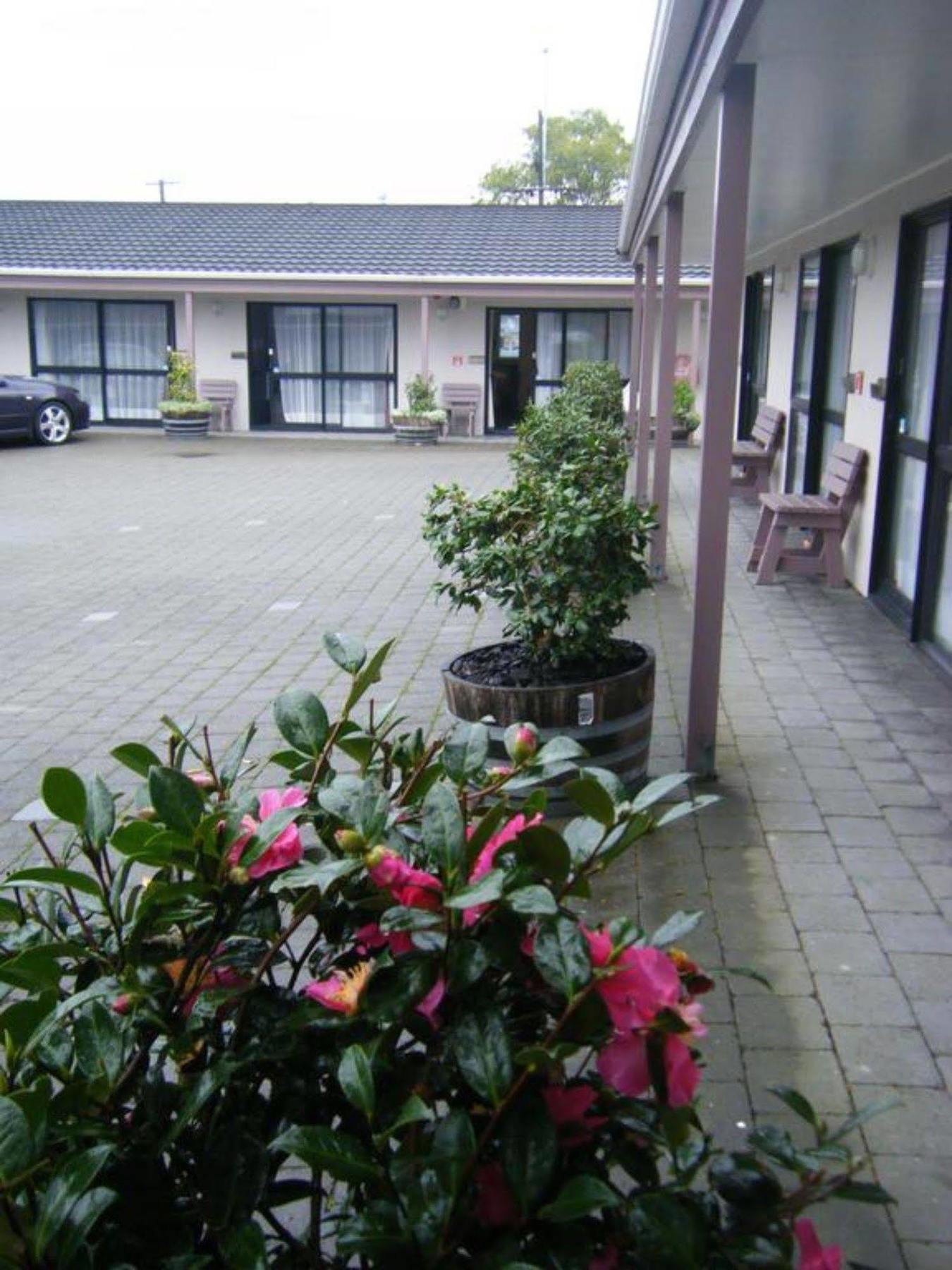 Camellia Court Motel Lower Hutt Exterior foto